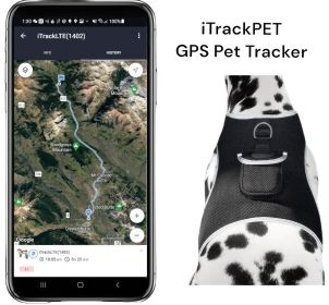 Rechargeable GPS Tracker Dog Cat Collar Tracking Device Realtime Scout Size:S