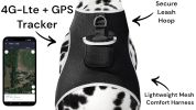 Realtime Satellite Pet Tracker Waterproof GSM GPS Collar Mini Locator Size:M