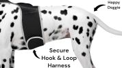 NEW Cat Collar Tracker Waterproof Pet GPS GSM Tracking Device Portable Size:XS