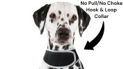 Pocket Collar Pet GPS Tracking Device Dog Cat Wireless Security System Size:XL