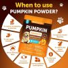 Pumpkin Powder for Dogs Digestive Support 16 OZ Fiber Supplement for Constipation For Gut Balance Healthy Skin Digestion Anal Glands Firm Stool Poop