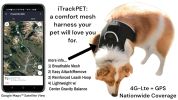 Realtime Pet Security GPS Dog Tracking Device Waterproof Pet Locator Size:XS
