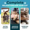 Hemp Cat Calming Treats for Stress & Anxiety Relief Cat Kittens Melatonin Made in USA Storm Anxiety Ð¡omposure Grooming Separation Travel Care Calming