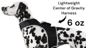 Reputable Collar GPS Locator for Dogs Rechargeable Battery + Mobility Detector Size:XS