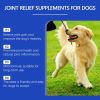 Yegbong Pet Dog Joint Supplement To Nutrition Care Joint Pet Joint Care Agent