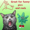 My Name is Lil' MJ the Weed Leaf, Cute Stuffed Parody Marijuana Leaf Cat Toy, Funny Catnip Weed Theme Toy