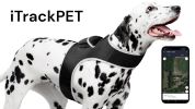 Durable GPS Pet Tracker GSM GPRS Realtime Waterproof Tracking Device Size:XS