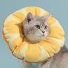 Elizabeth circle kitten licking-proof shame collar headgear dog collar sterilization collar pet jewelry